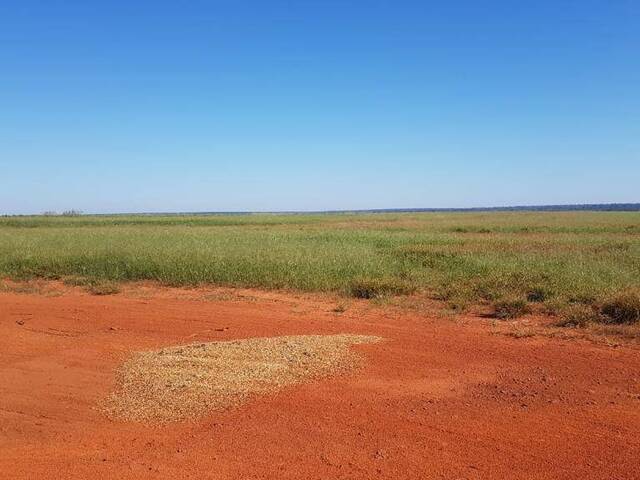 #121 - Chácara para Venda em Nova Ubiratã - MT - 1