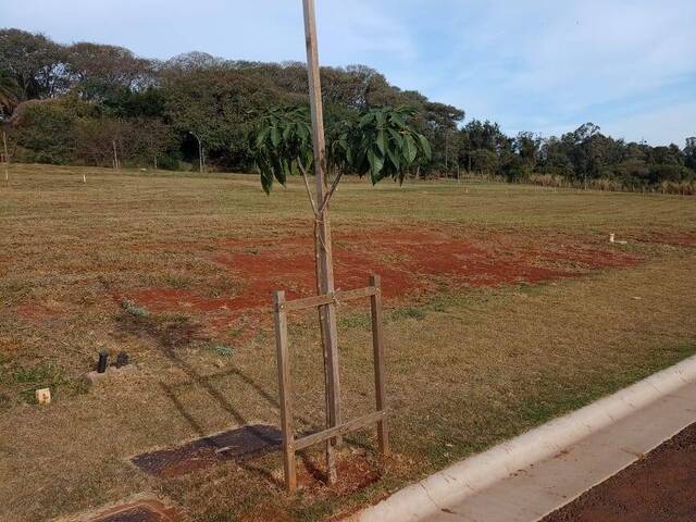 Área para Venda em Jaguariúna - 4