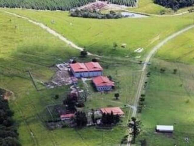 Chácara para Venda em Sarapuí - 5