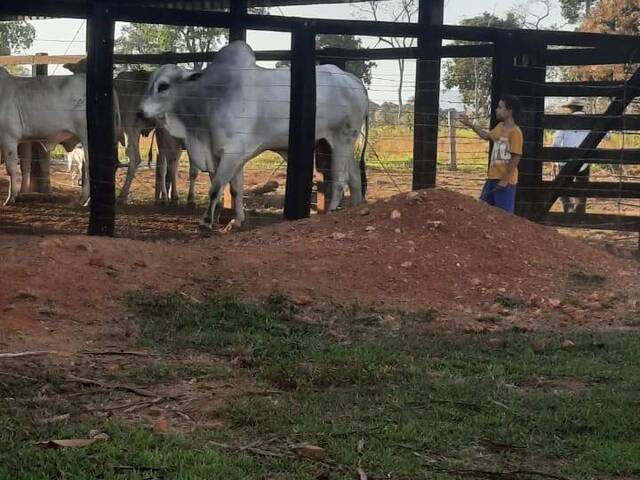 #195 - Chácara para Venda em Cuiabá - MT - 2