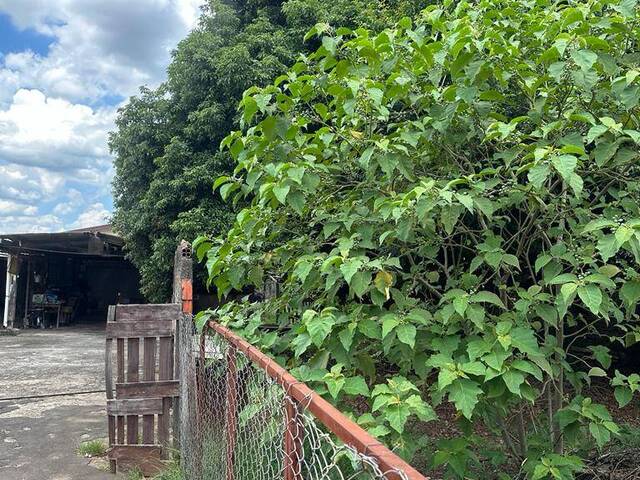 Área para Venda em Campinas - 5